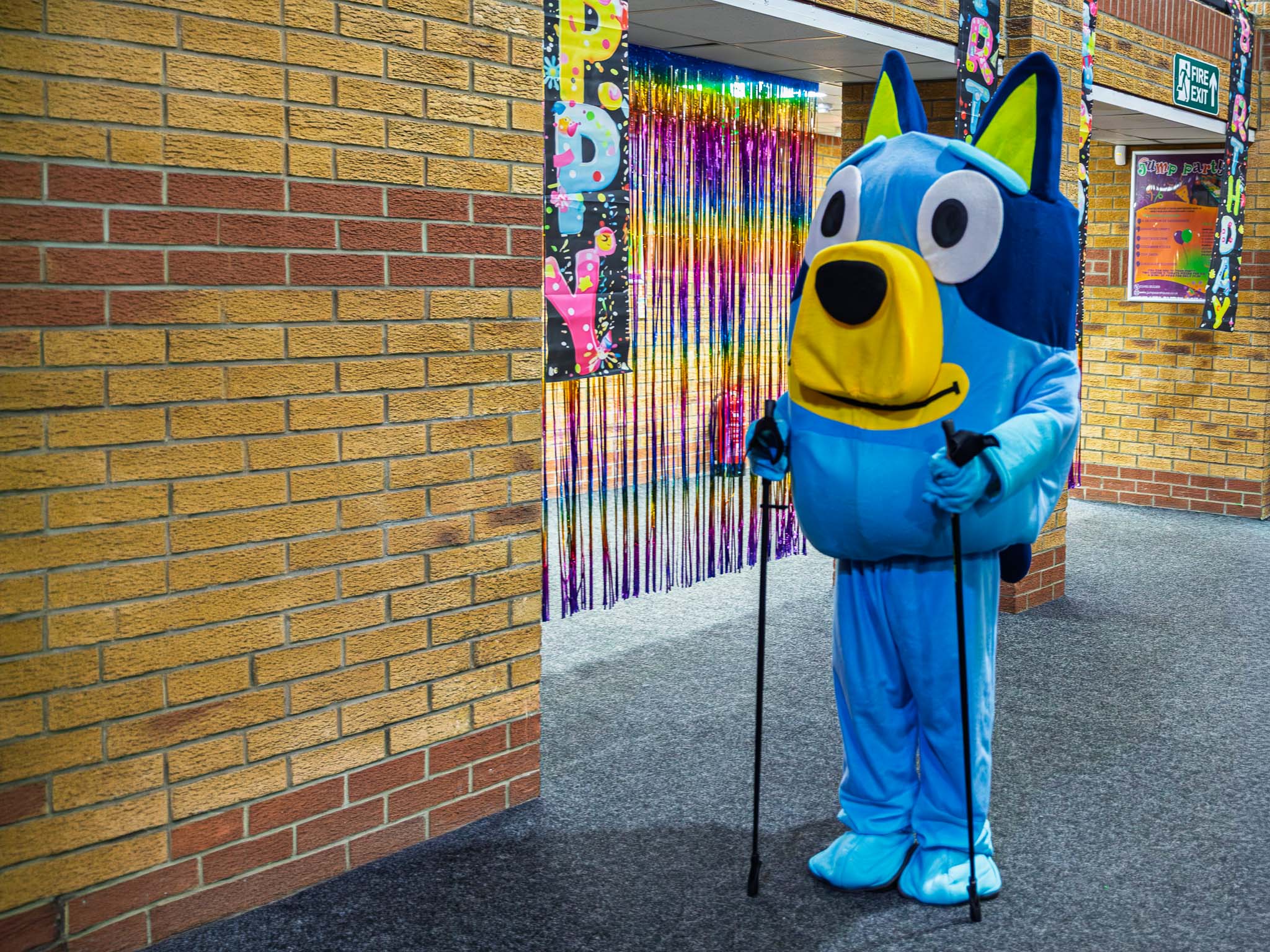 Bluey