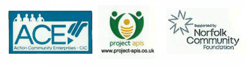 ACE APIS NCF